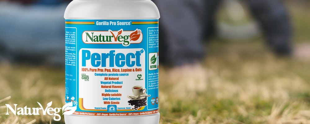 Benefici dieta vegan proteine palestra Benefici dieta vegan proteine palestra