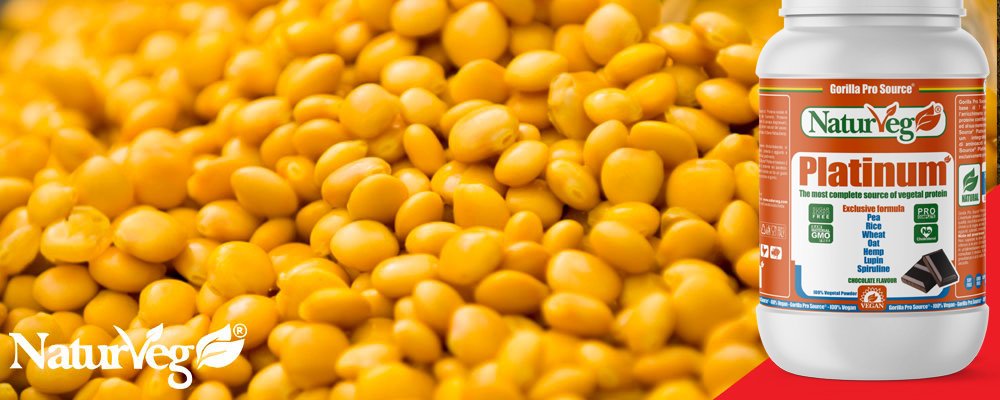Aminoacidi Vegan come assumerli