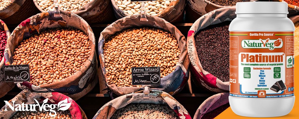 proteine in polvere vegane