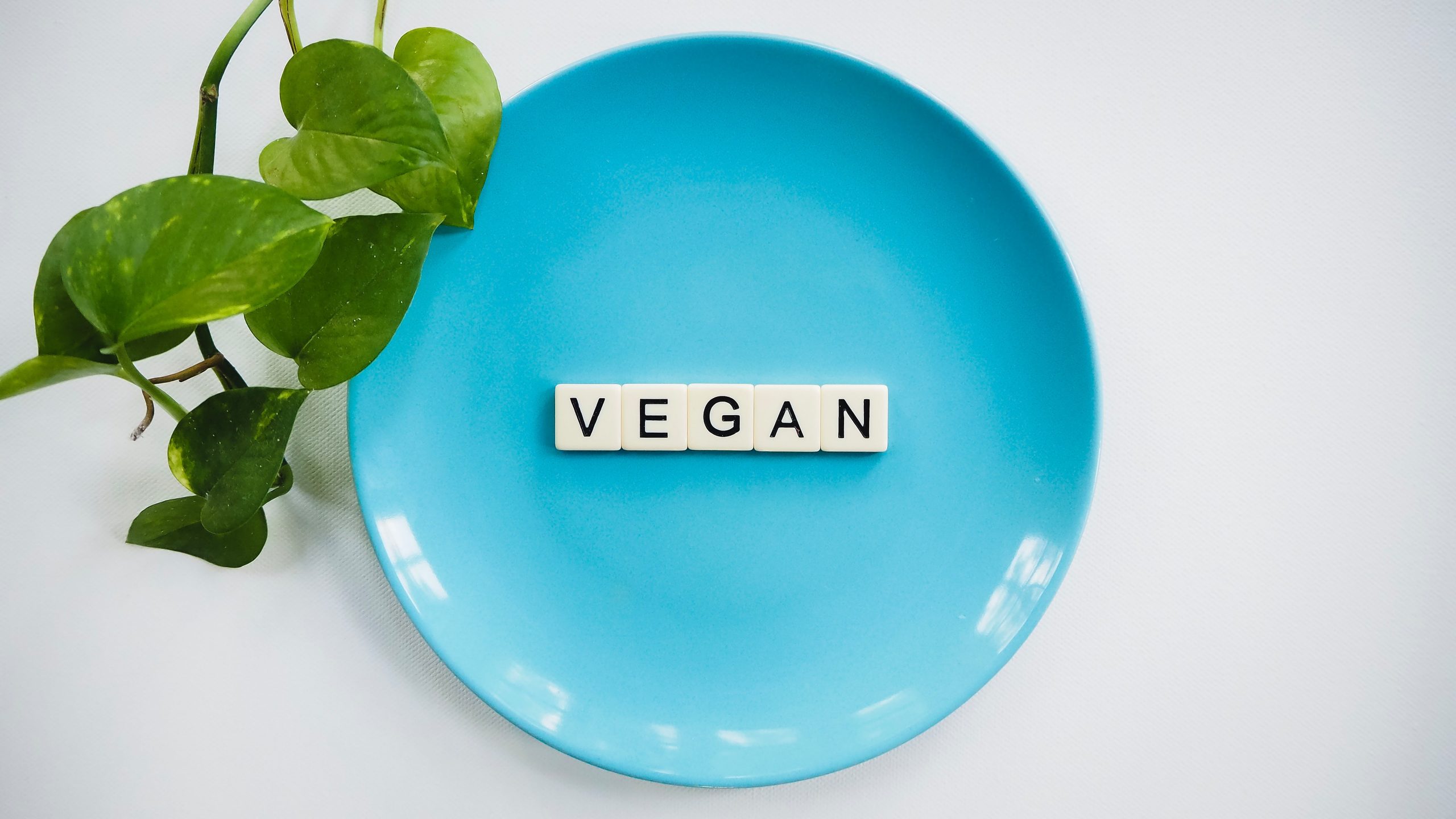 in polvere vegane