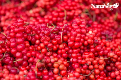 schisandra naturveg vitamina c