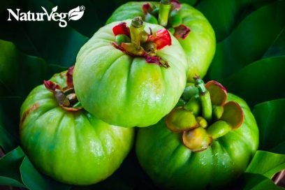 Garcinia Cambogia